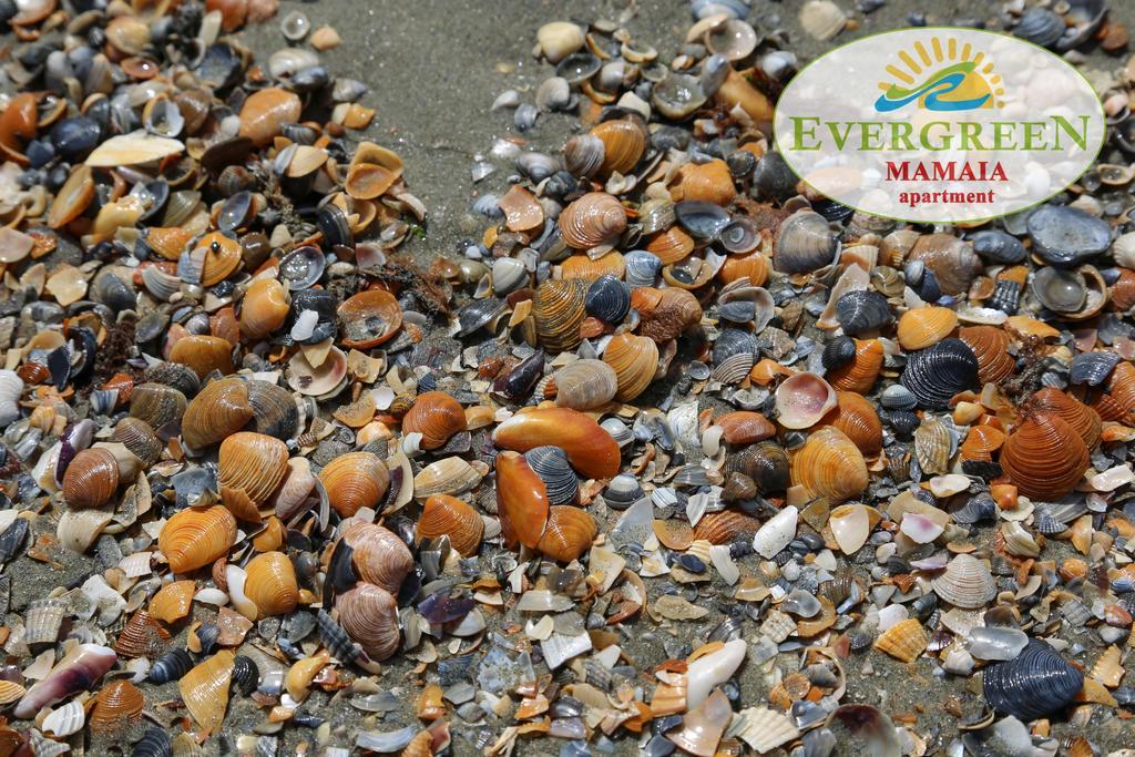 Evergreen Vlas Mamaia Sud エクステリア 写真